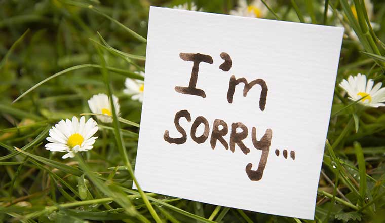 Sorry for the Inconvenience: Turning Apologies into Action